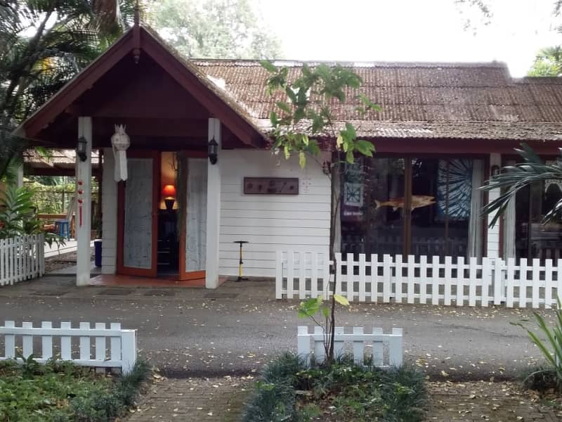Housesitting assignment in Chiang Mai, Thailand
