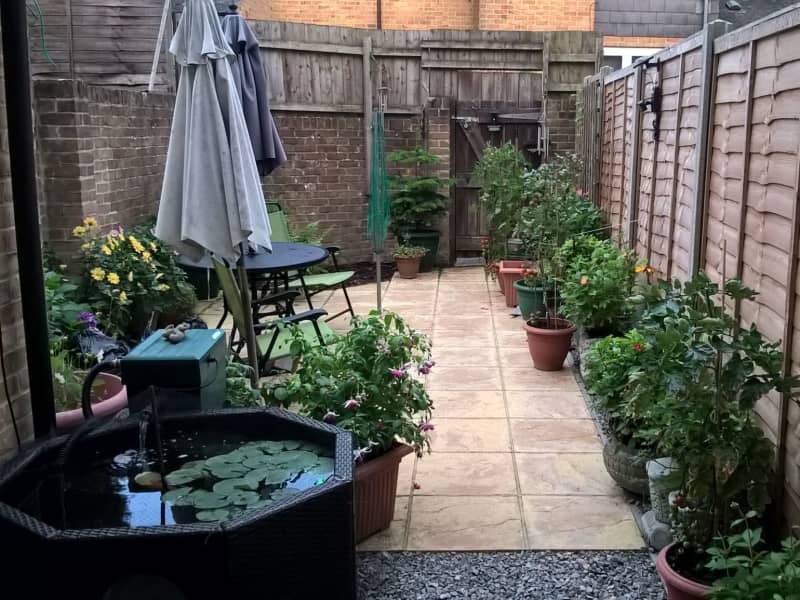 Housesitting assignment in Andover, United Kingdom