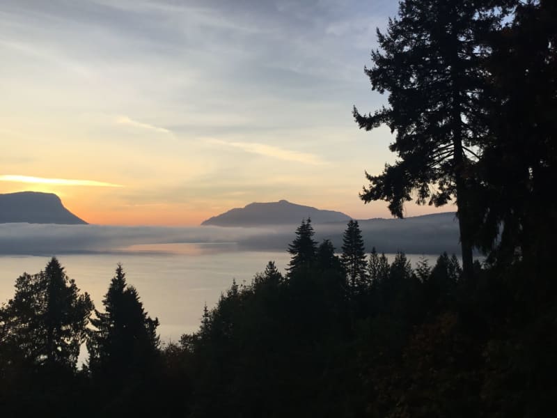 Housesitting assignment in Duncan, British Columbia, Canada