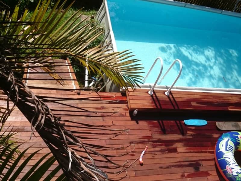 Housesitting assignment in Bangalow, New South Wales, Australia