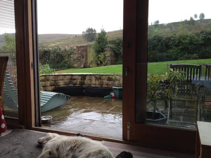 Housesitting assignment in Ilkley, United Kingdom