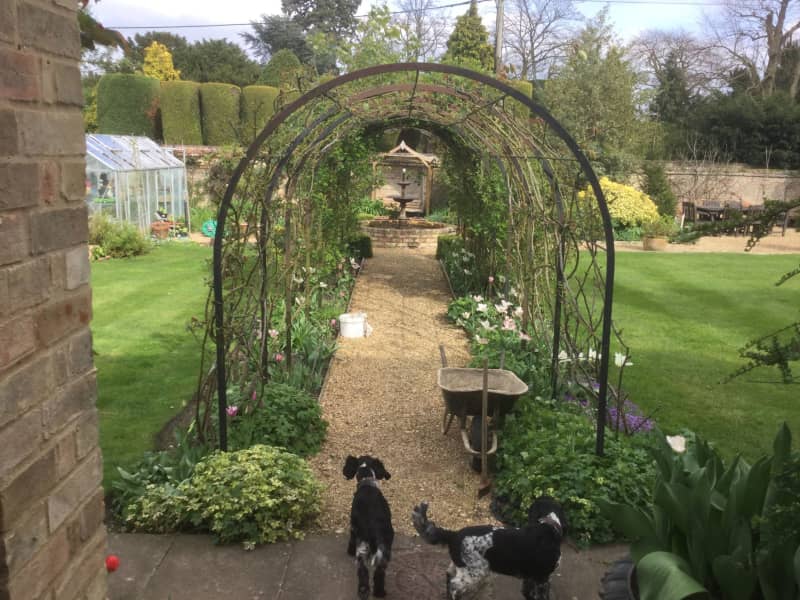 Housesitting assignment in Cambridge, United Kingdom
