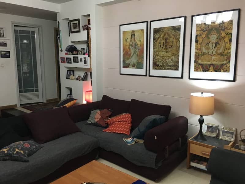 Housesitting assignment in Chengdu, China