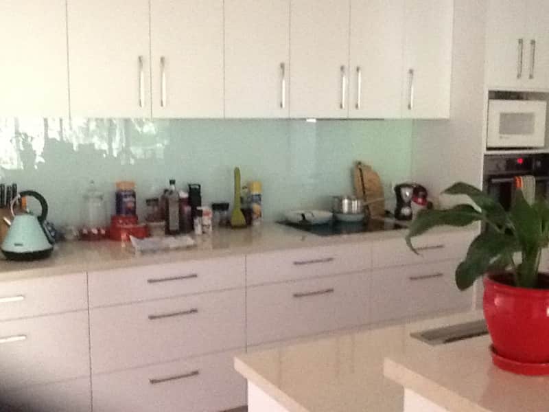 House sitting wollongong