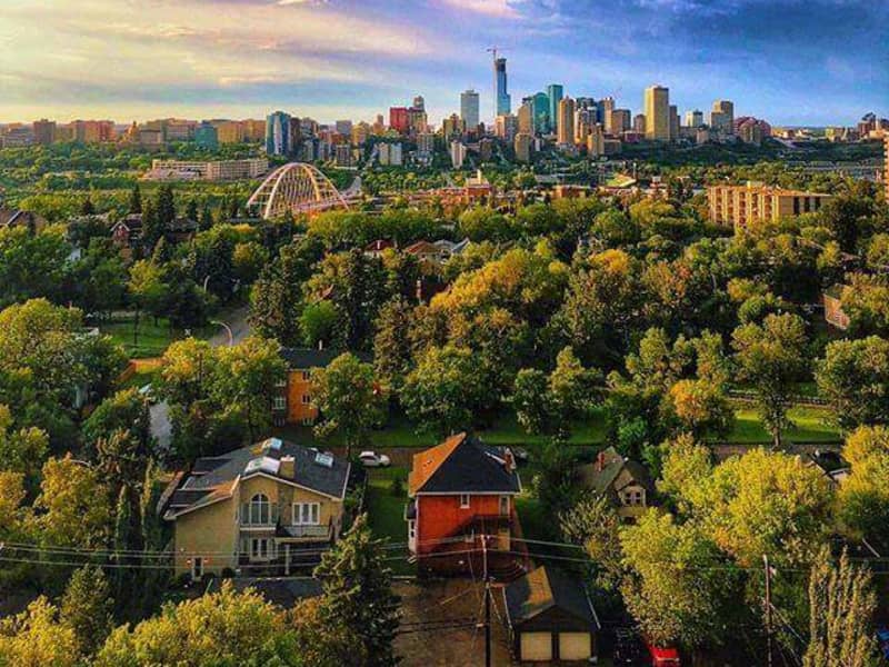Housesitting assignment in Edmonton, Alberta, Canada