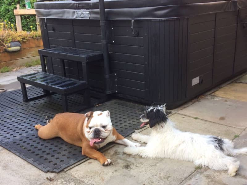 Housesitting assignment in Weedon Beck, United Kingdom