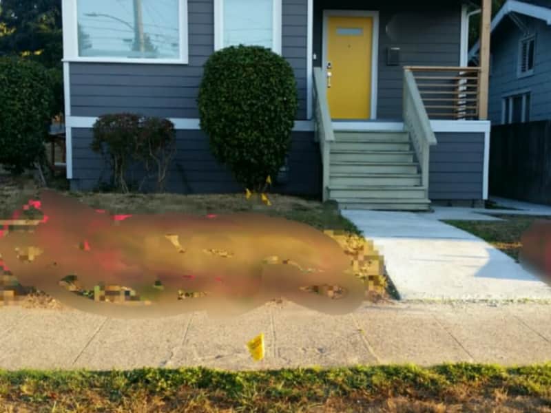 Housesitting assignment in Seattle, Washington, United States