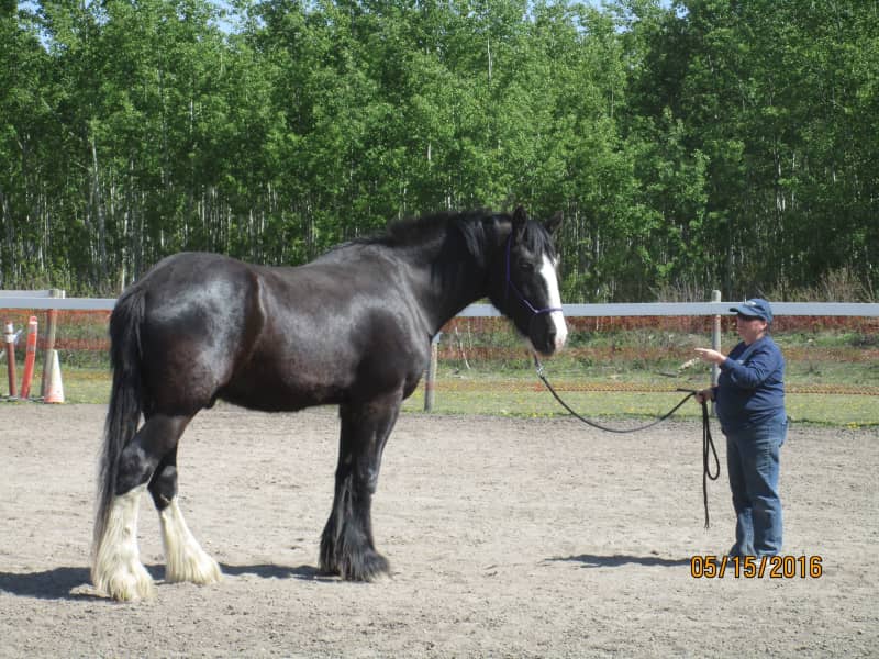 Marion from Valleyview, Alberta, Canada