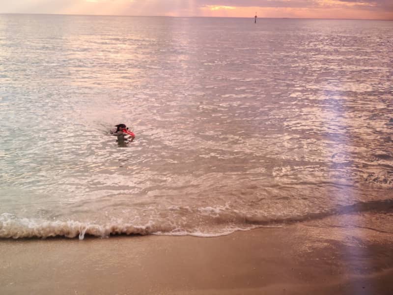 Housesitting assignment in Seaford, Victoria, Australia