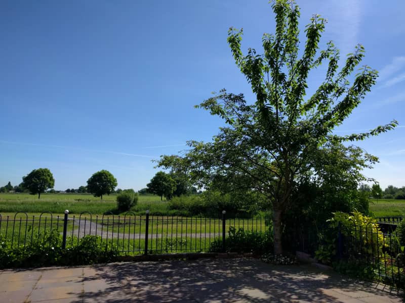 Housesitting assignment in Haarlem, Netherlands