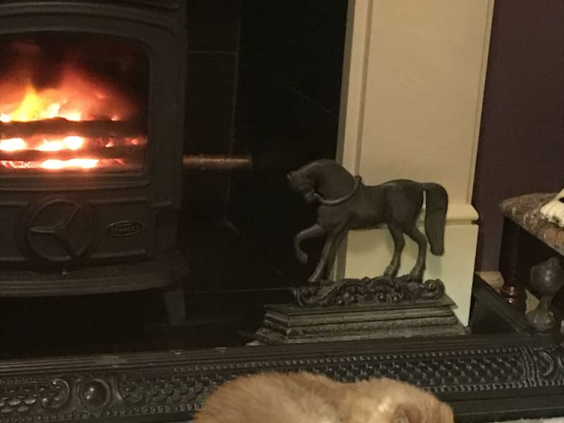 Housesitting assignment in Belfast, United Kingdom