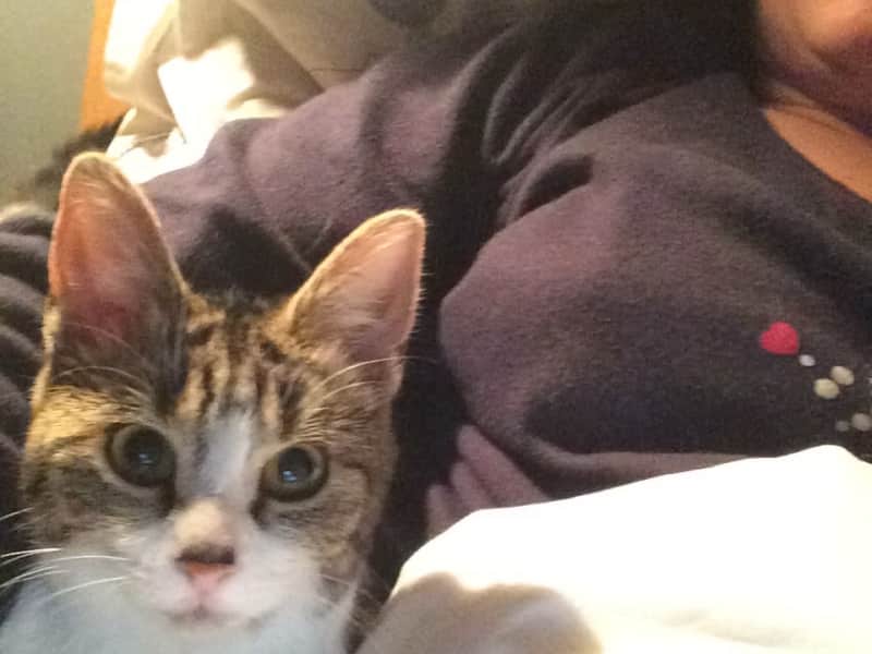 Housesitting assignment in Brussels, Belgium