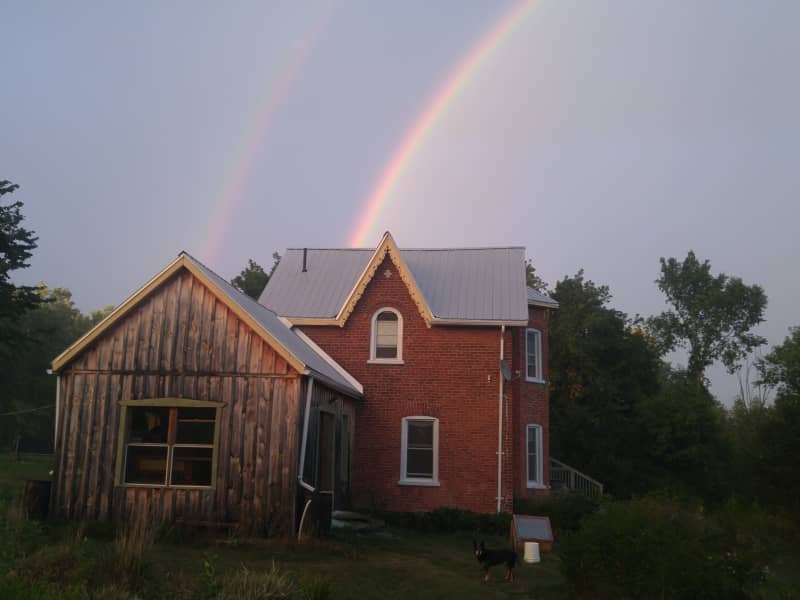 Housesitting assignment in Marmora, Ontario, Canada