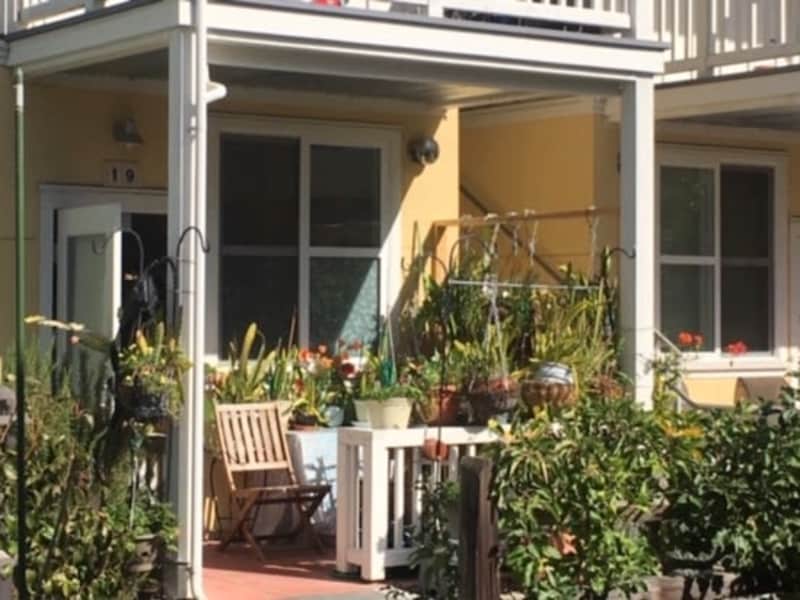 Housesitting assignment in Sonoma, California, United States