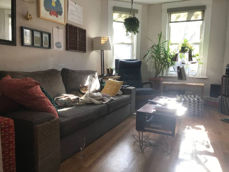 Housesitting assignment in Somerville, Massachusetts, United States