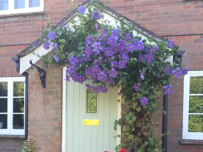 Housesitting assignment in Dummer, United Kingdom