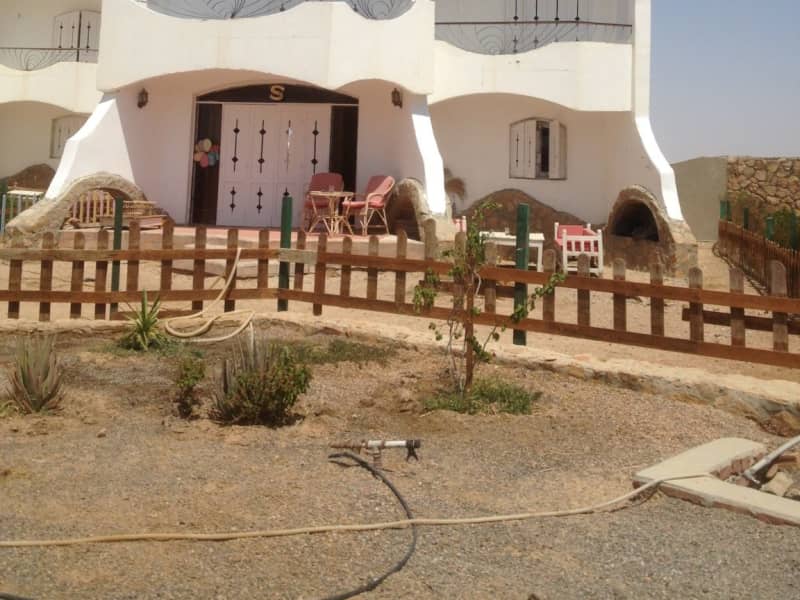 Housesitting assignment in Būr Safājah, Egypt