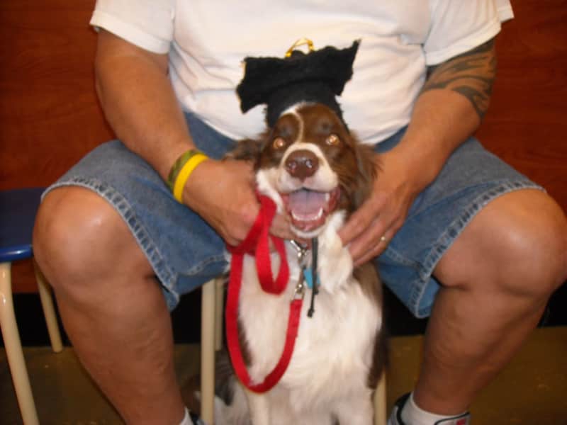 Housesitting assignment in Lincoln, Nebraska, United States