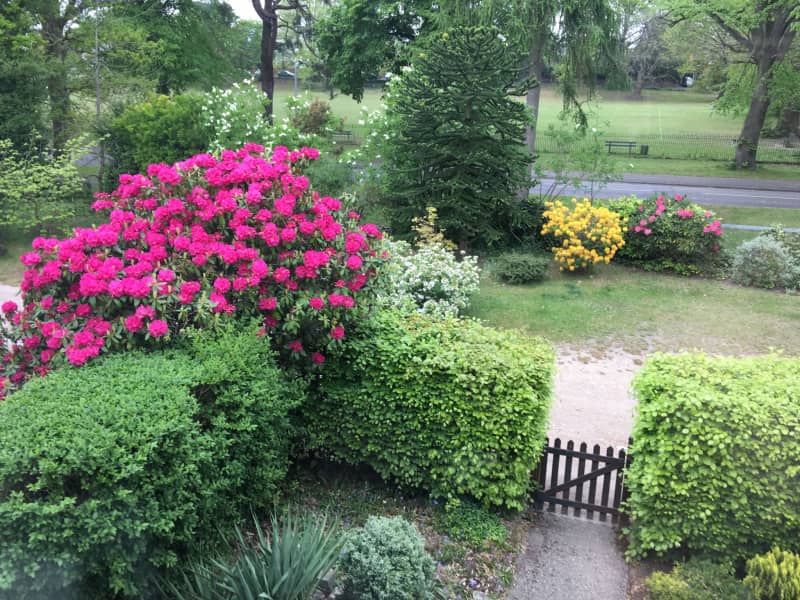 Housesitting assignment in Crowthorne, United Kingdom