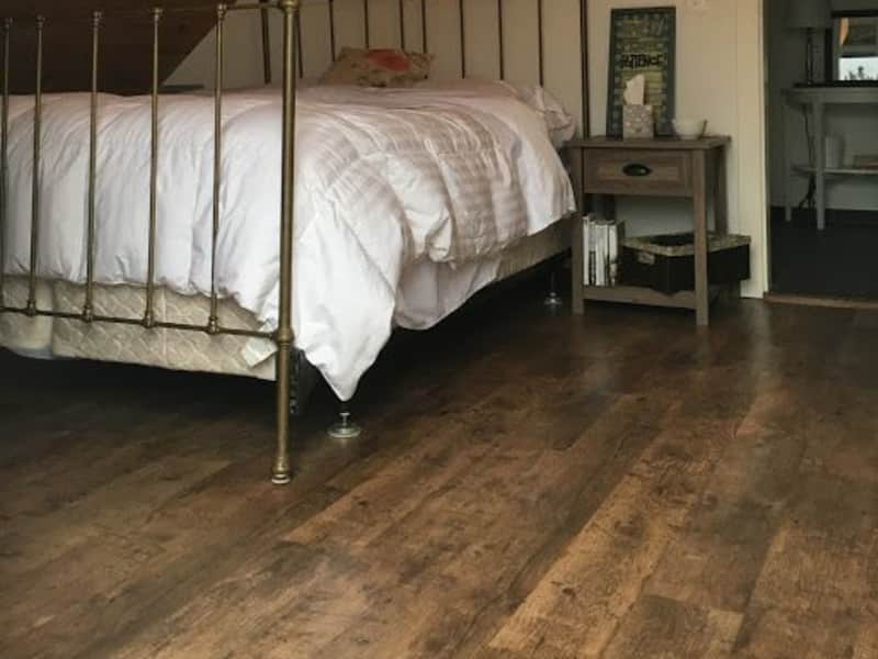 Housesitting assignment in Yverdon-les-Bains, Switzerland