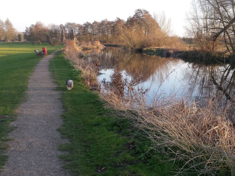 Housesitting assignment in Mildenhall, United Kingdom
