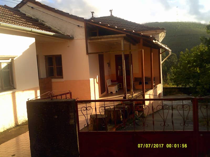 Housesitting assignment in Caramulo, Portugal