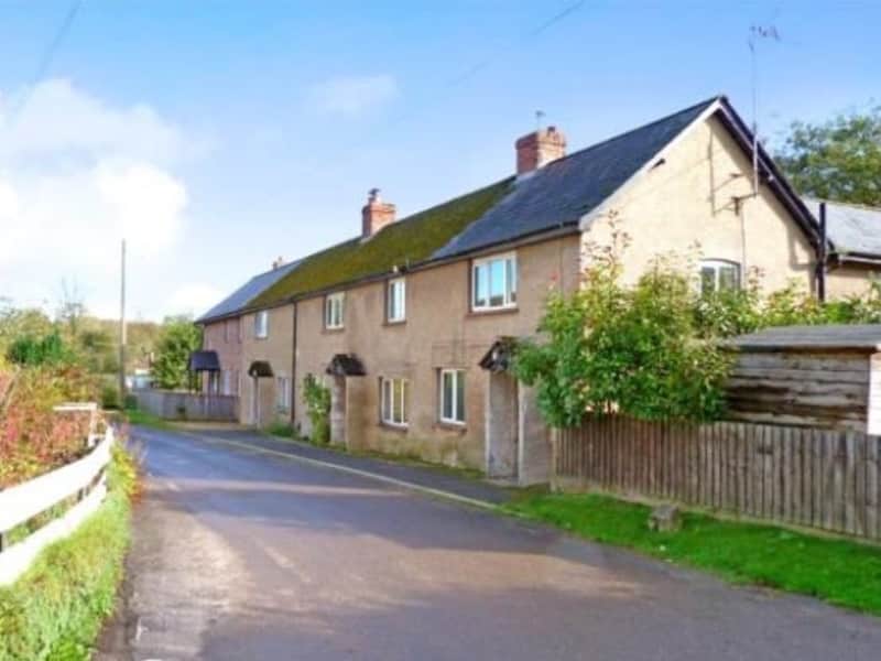 Housesitting assignment in Blandford Forum, United Kingdom