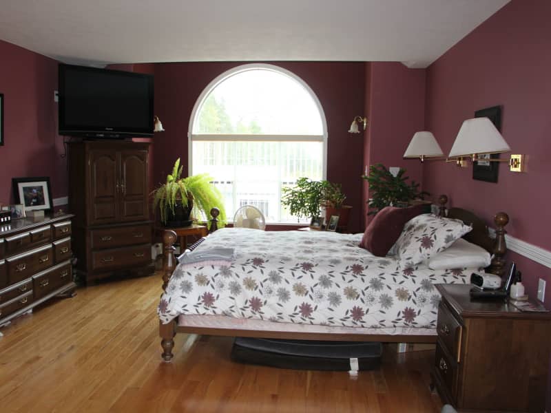 Housesitting assignment in Campbell River, British Columbia, Canada