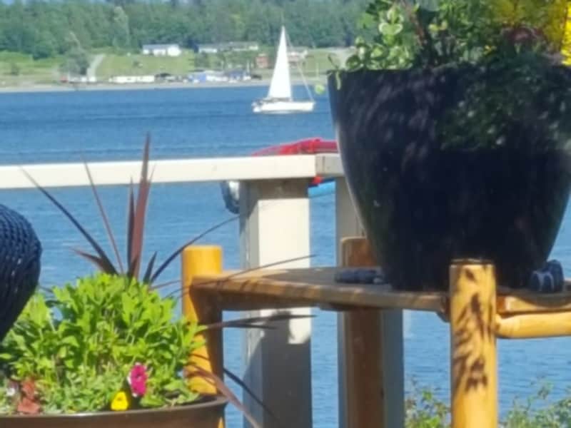Housesitting assignment in Lummi Island, Washington, United States