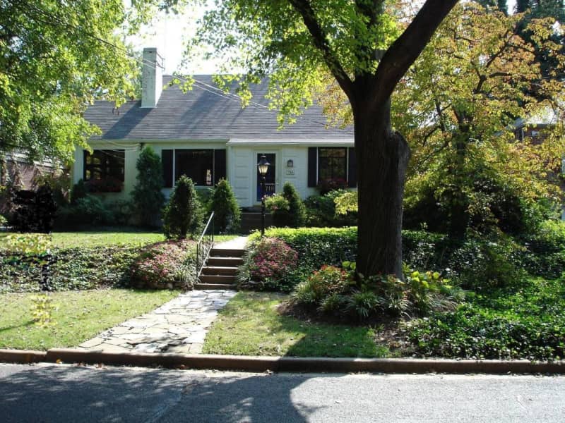 Housesitting assignment in Silver Spring, Maryland, United States