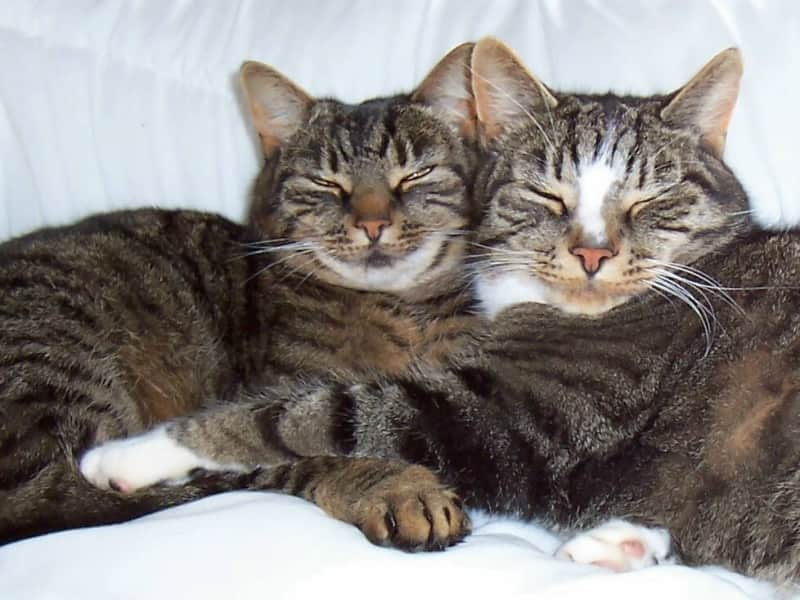 Sharon & Bob from Stafford, United Kingdom