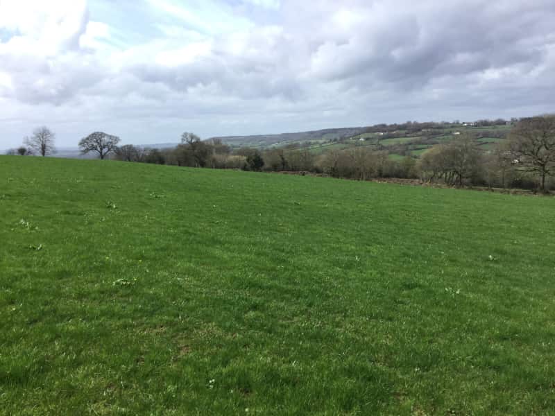 Housesitting assignment in Hemyock, United Kingdom