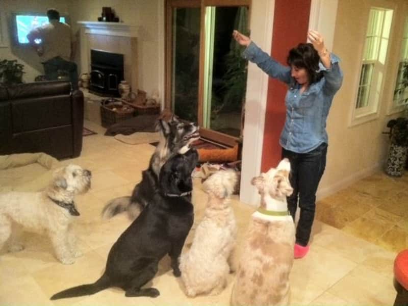 Bernadette from Novato, California, United States