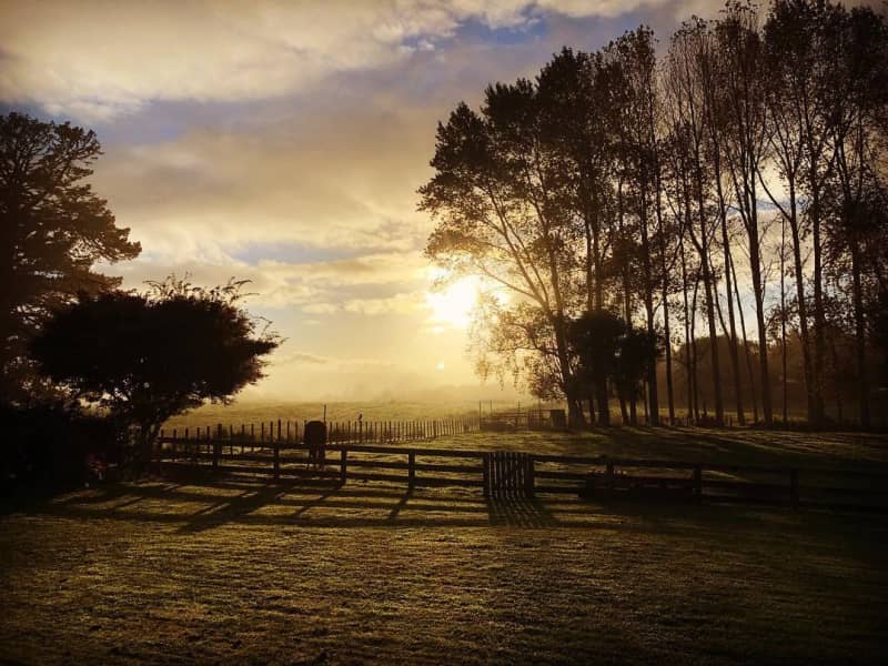 Housesitting assignment in Ngongotaha, New Zealand