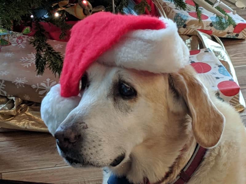 Housesitting assignment in Port Clinton, Ohio, United States