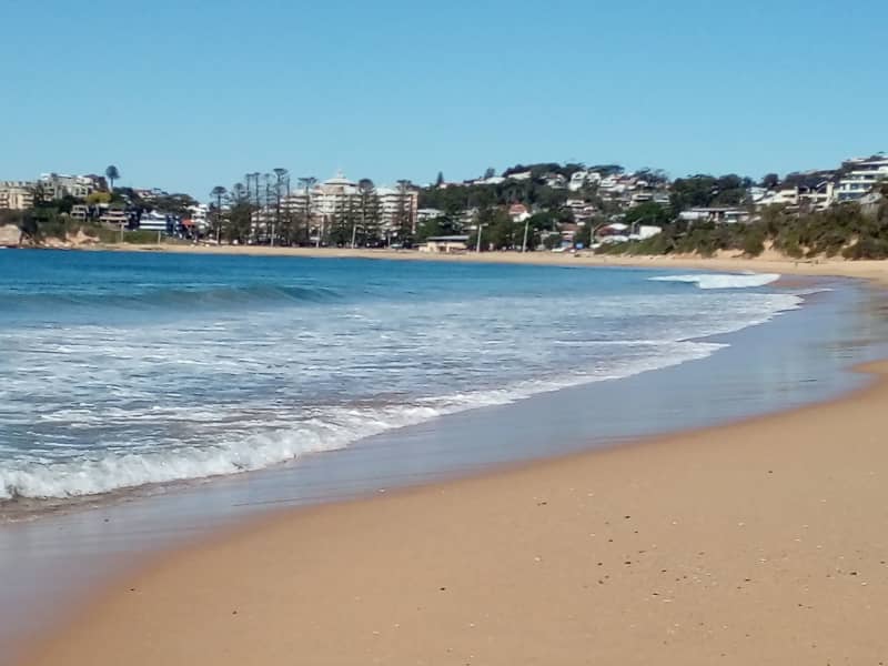 Housesitting assignment in Gosford, New South Wales, Australia
