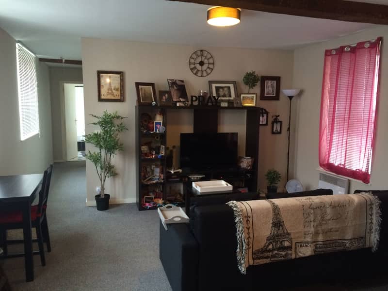 Housesitting assignment in Lille, France