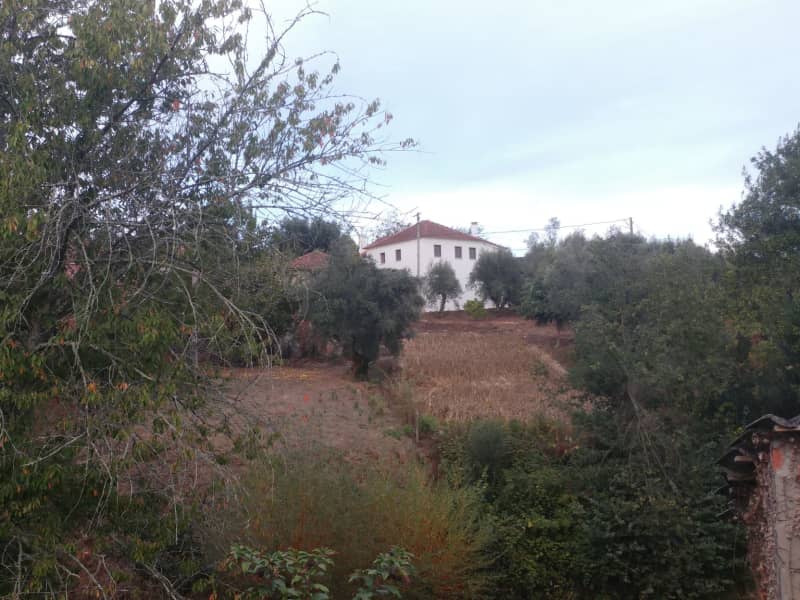 Housesitting assignment in Coimbra, Portugal