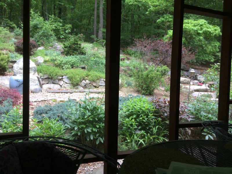 Housesitting assignment in Northampton, Massachusetts, United States