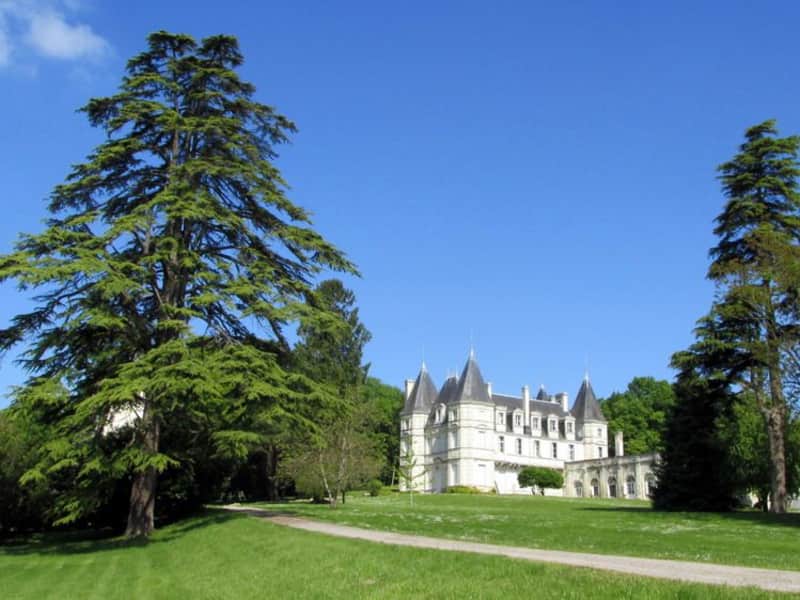 Housesitting assignment in Thuré, France