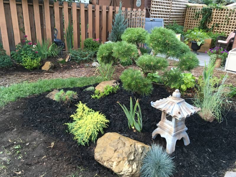 Housesitting assignment in Edmonton, Alberta, Canada