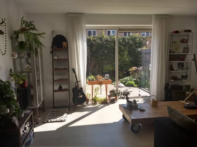 Housesitting assignment in Groningen, Netherlands