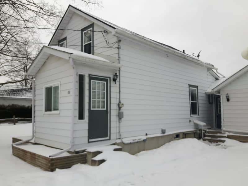 Housesitting assignment in Thornbury, Ontario, Canada