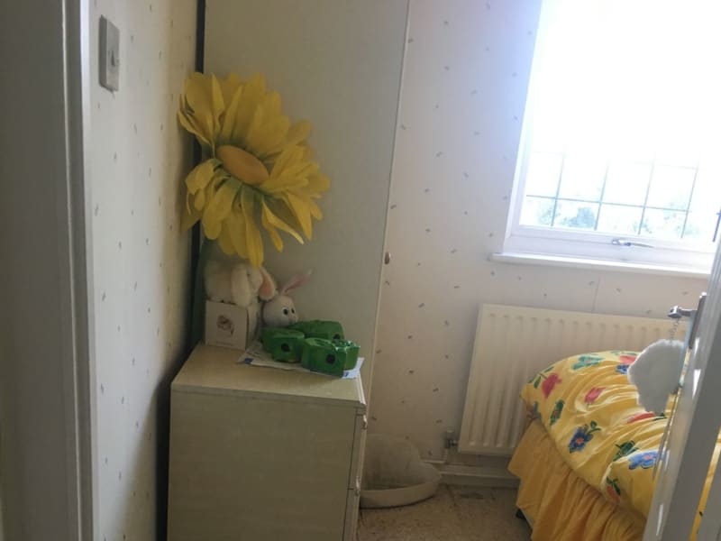 Housesitting assignment in Rayleigh, United Kingdom