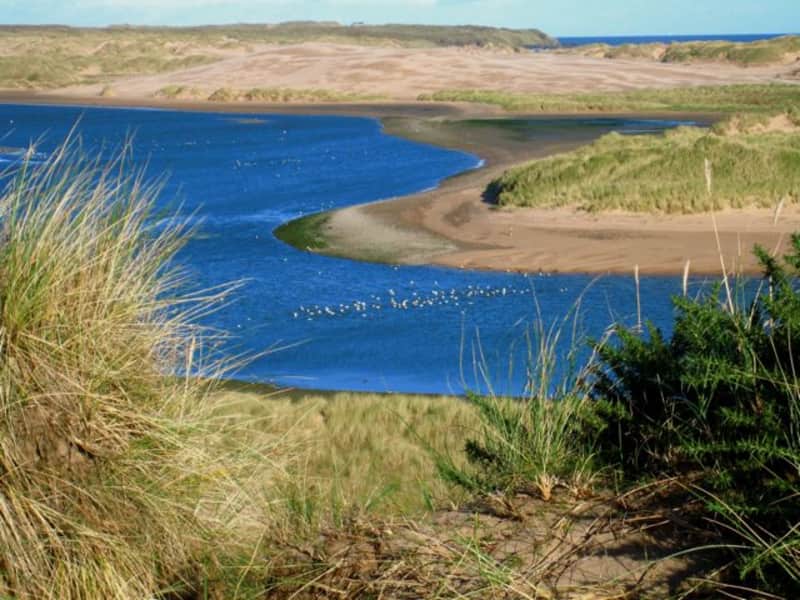 Housesitting assignment in Newburgh, United Kingdom