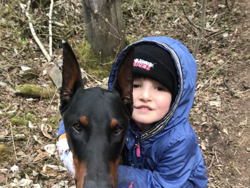 Housesitting assignment in Red Deer, Alberta, Canada