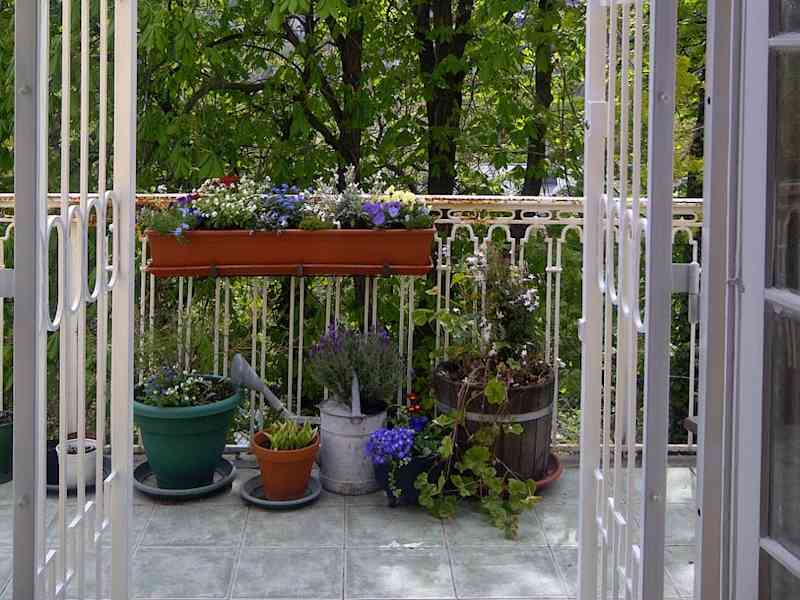 Housesitting assignment in Budapest II. kerület, Hungary