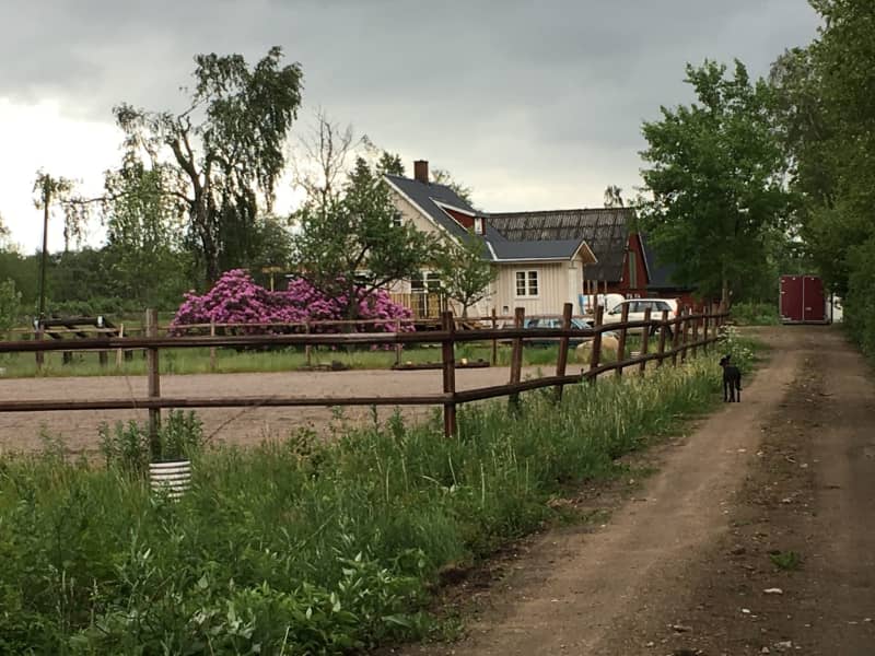 Housesitting assignment in Hörby, Sweden