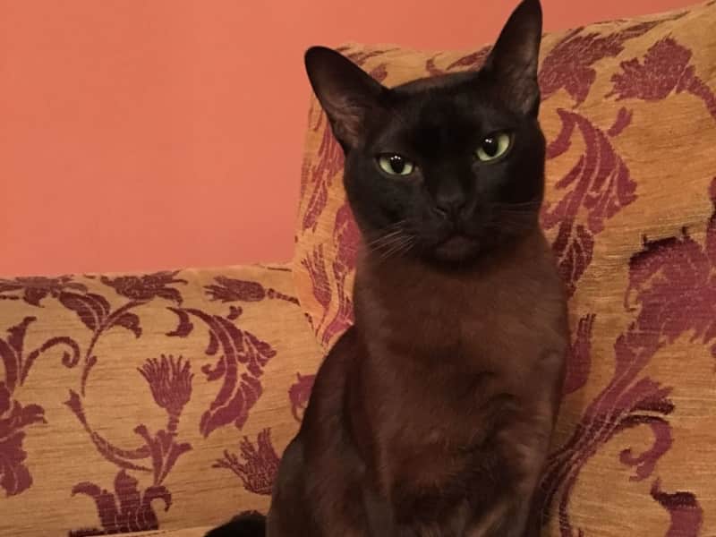 Rebekah from Calne, United Kingdom