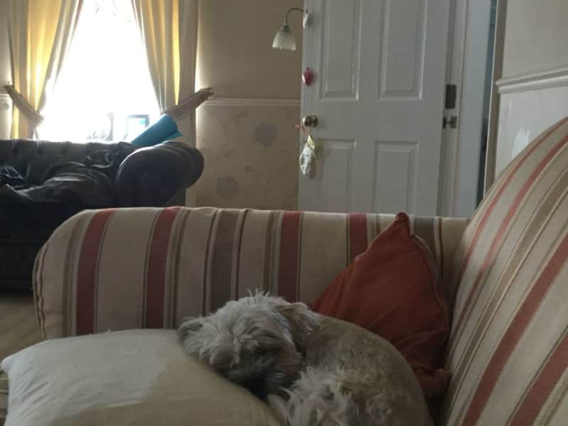 Housesitting assignment in Quorn, United Kingdom